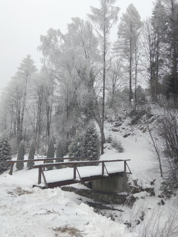 Apartamenty Grosik Krynica Zdroj Luaran gambar